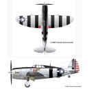 P-47 Thunderbold  Bonnie combo with electric gears