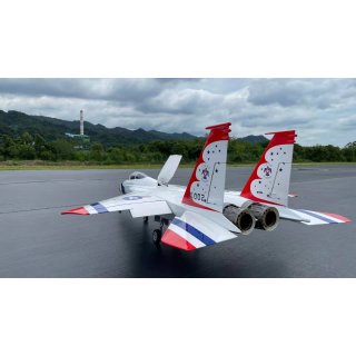 F-15 PNP  Thunderbird