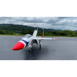 F-15 PNP  Thunderbird