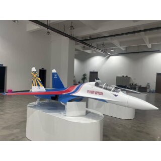 SU-30 Light 3D Color Knights R