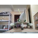 JMB Mirage 2000 C PNP Camo