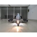 JMB Mirage 2000 C PNP Camo