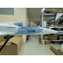 JMB Mirage 2000 C PNP Camo
