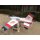 Baja Arowana Sport Jet  AUDI PNP